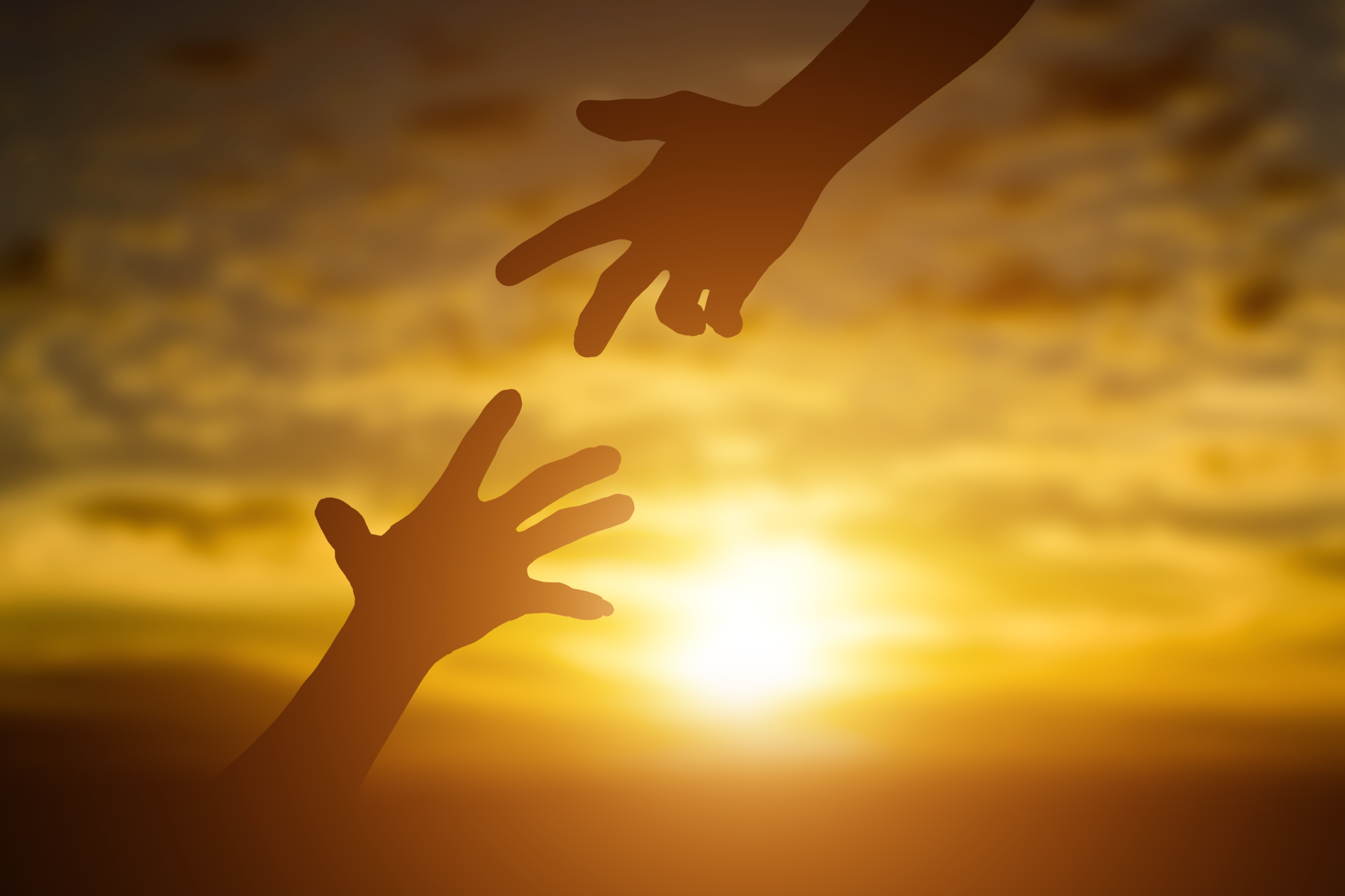 VMS Data charity
