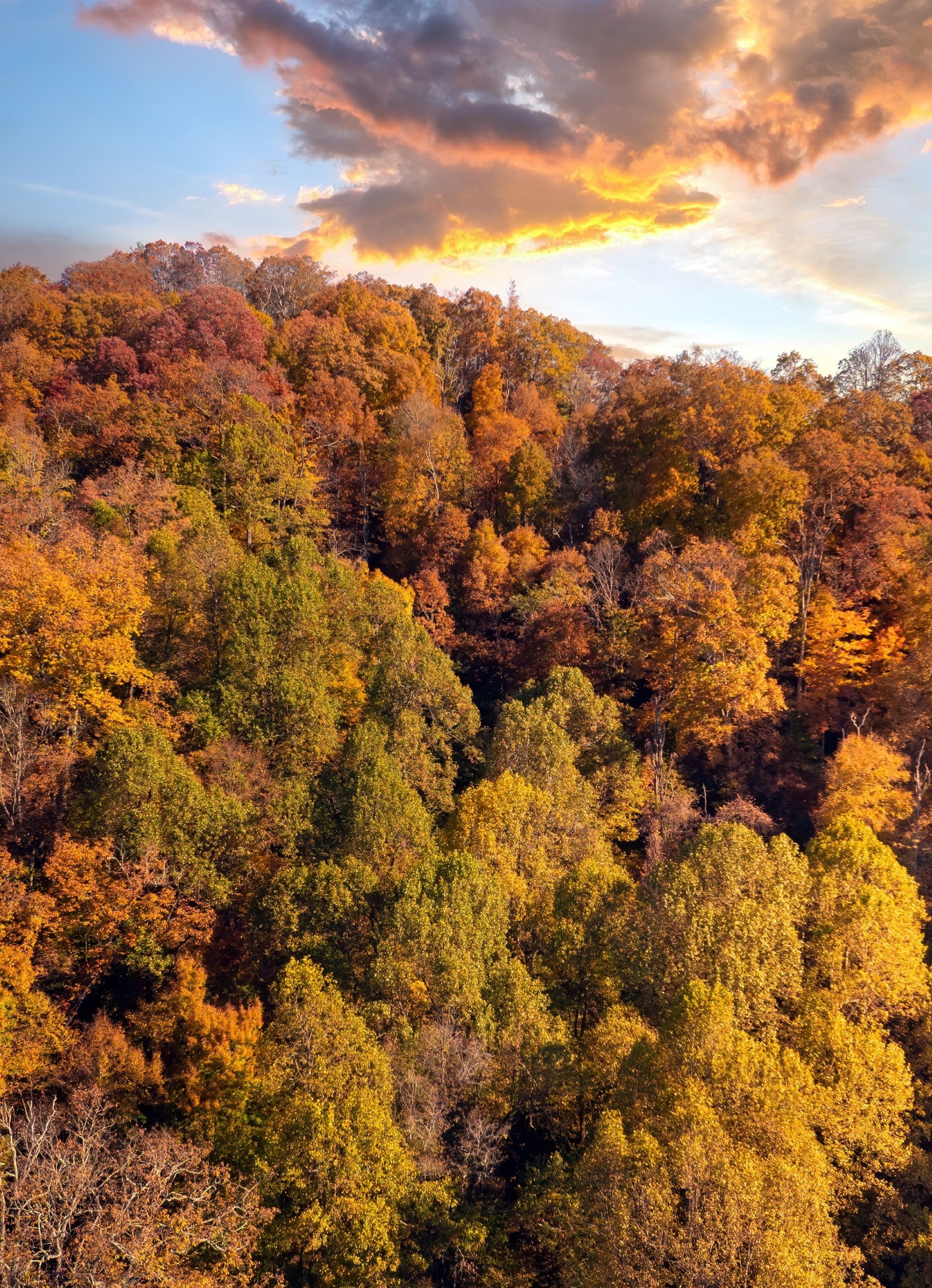 Kentucky