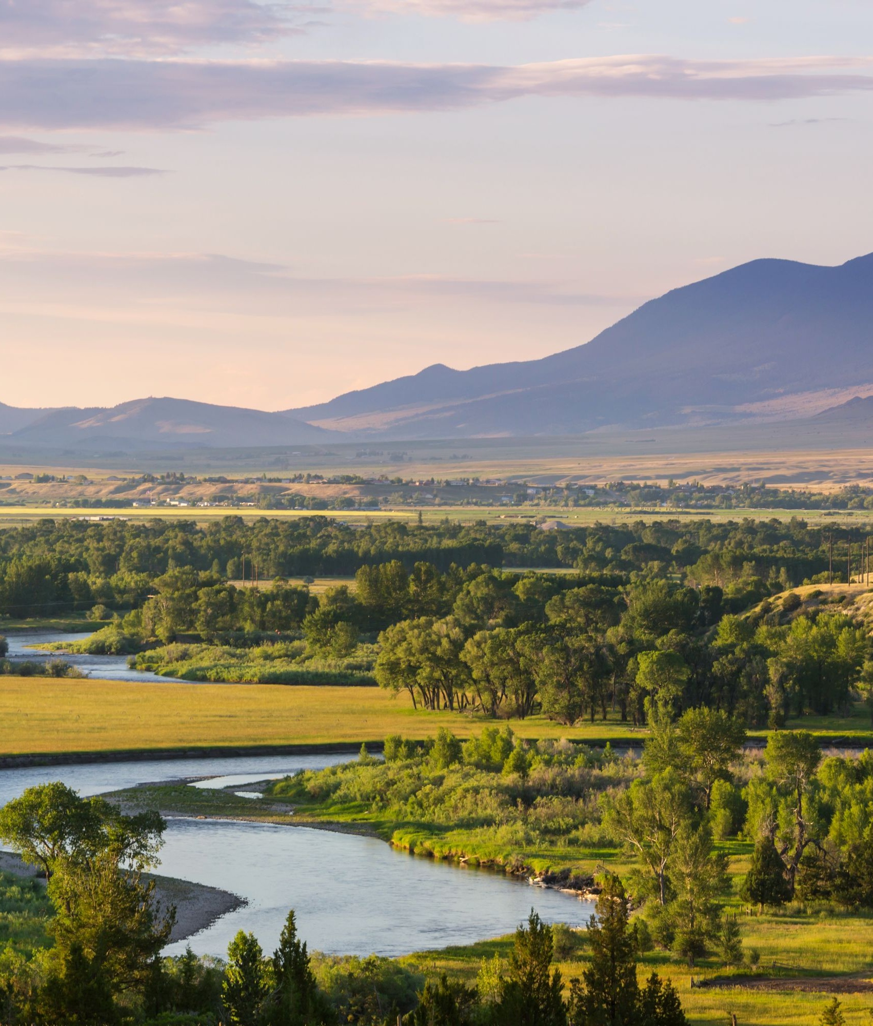 Montana